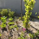 행복나무 요양원 이미지