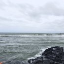 세기문구사 | 혼자 2박3일 제주도 남동쪽 여행 day(1) - 세화 구석구석 👣 책방 풀무질, 카페 한라산, 마음스테이게하