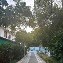 시후민박 이미지