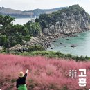 섬in섬 연홍미술관 | 전남 고흥 가볼만한곳 섬 여행 고흥 쑥섬 애도 소록도 연홍도 로망스투어