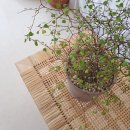 하나로꽃집 이미지