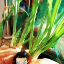 봉구레