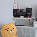 강릉휴가스테이 이미지