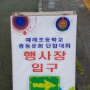 대왕수1교 네이버블로그