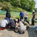 기린농장 이미지