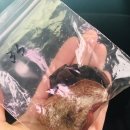 금당약업사 네이버블로그