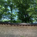 베리송크(varisonc)