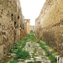 스테디(Steady) 이미지