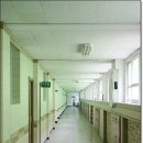 불티나분식 - 전주시 완산구 인정로 20 | 불티나분식