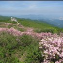 5월31일(목요일) 소백산 철쭉산행 이미지