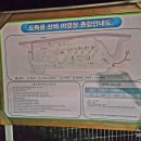 도둑골야영장 이미지