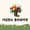언양 매력적인 꽃집 &#39;아일랜드 플라워 마켓&#39; 방문 후기
