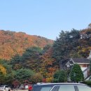 네스트캠핑장 이미지