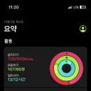 바닐라브릭 이미지