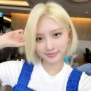 폴럽 Daum카페