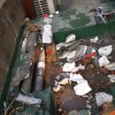 금빛초교 이미지