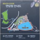 영월동서강정원(연당원) 네이버블로그