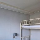 베드라디오동문점 이미지