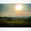 목장의아침 이미지