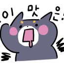 영동 한울 캠핑장 네이버블로그