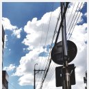 호산나약국 이미지