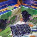 머루네건강원 이미지