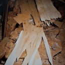 신덕1호 이미지