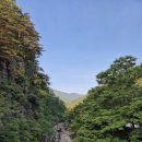 스테이배 | [템플스테이] 26년 5월 여행 가는 달 행복 두배 템플스테이 / 삼화사 템플스테이 후기