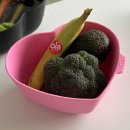 문안목장 | 여름이 가기 전에