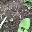 굿모닝LPG충전소 이미지