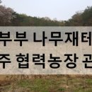 탑산농장 네이버블로그