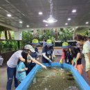 성동 서울숲 여름캠핑장 이미지