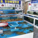 바다회일번지 이미지