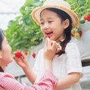 우빈농장 이미지