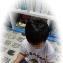 초아태권도장 이미지