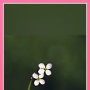 전곡고등학교 기숙사 이미지