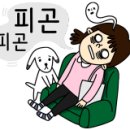 방배김밥이만든라이스쉐프