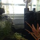 (주)한주약품 이미지