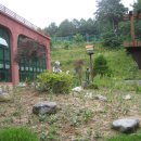 봉평초등학교 이미지