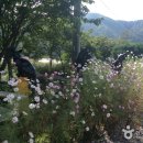 하나펜션 이미지