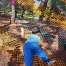 창원숲유치원 | [유치원 참여수업 후기] 창원 습지공원에서 엄마와 특별한 하루.