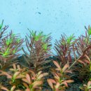 유경2호 이미지