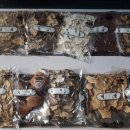 치악산 사슴농장 이미지