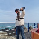 에스엠텍 | 배스로드 사용기 / 에스엠텍 테라젠 672M tx(투피스)