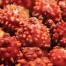 몬스터짐 광화문본점 | [광화문 헬스장 몬스터짐] 4월 제철 음식으로 영양 보충 하자! / 경복궁역 PT 맛집