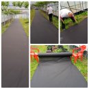 묘수농장 이미지