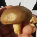 현주농장 이미지