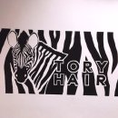 헤어로데오 이미지