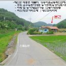 대흥면010 Daum카페