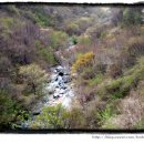 그리고 봄 펜션 민박 이미지